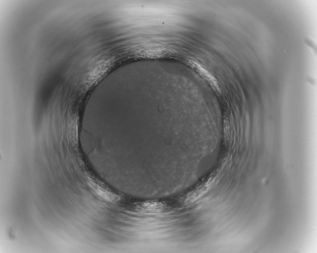 X0000093750493200710301127