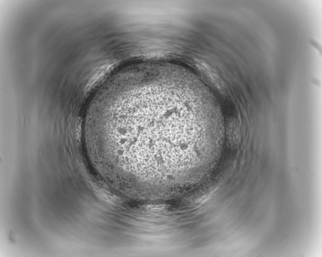 X0000093750495200710301127