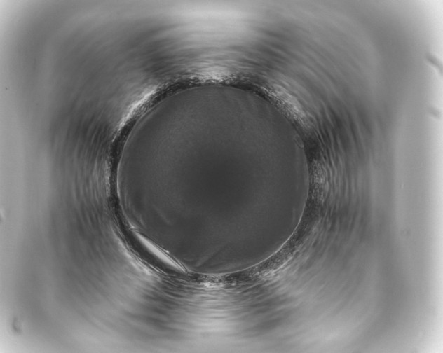 X0000093750496200710301127