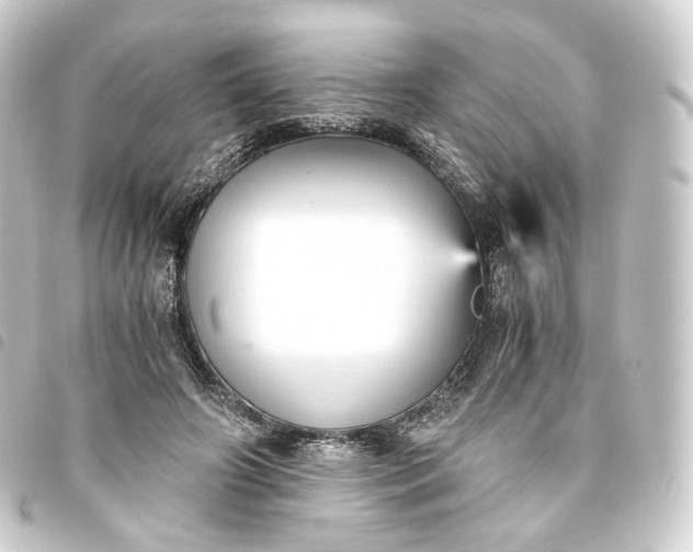 X0000093750498200710301127