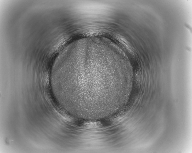 X0000093750499200710301127