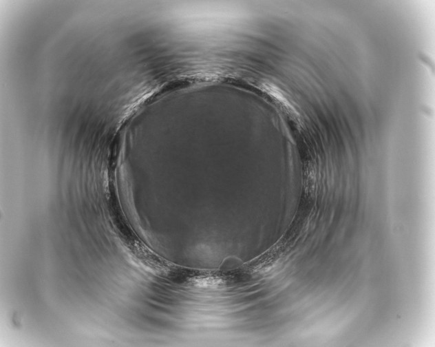 X0000093750500200710301127