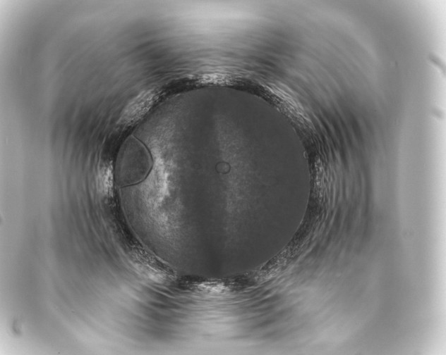 X0000093750502200710301127