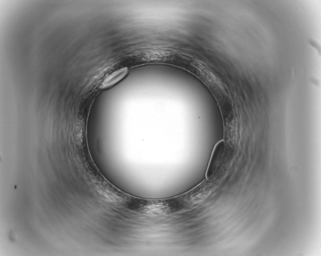 X0000093750505200710301127