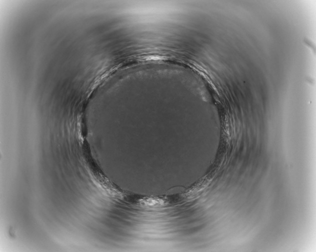X0000093750512200710301127