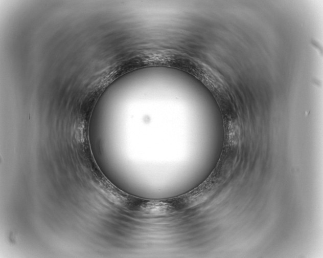 X0000093750514200710301127