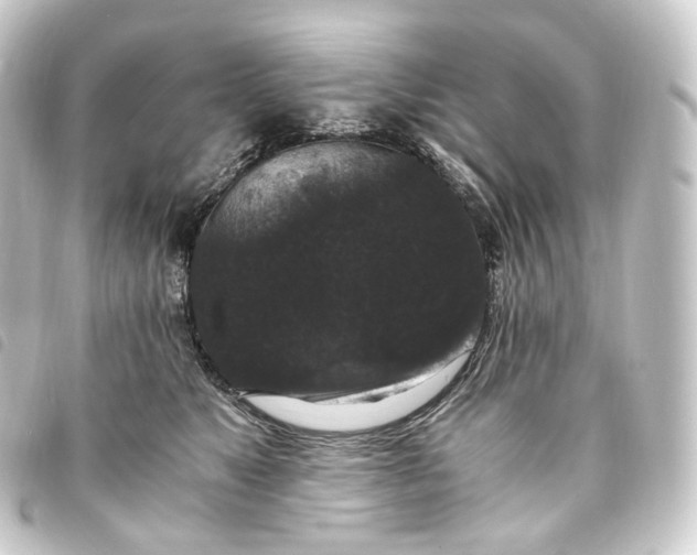 X0000093750517200710301127