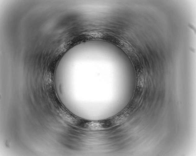 X0000093750518200710301127