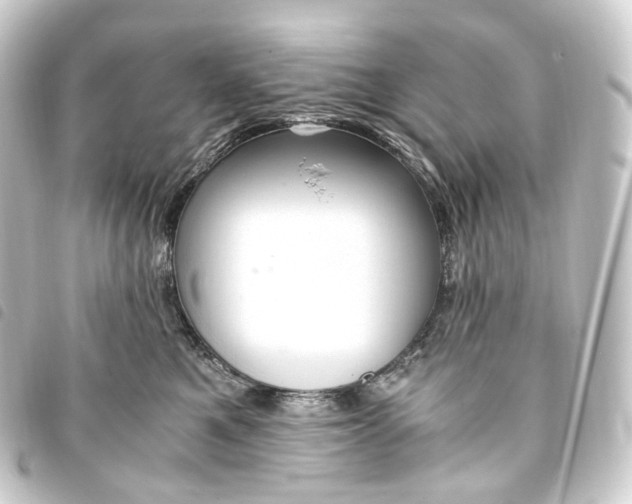 X0000093750521200710301127