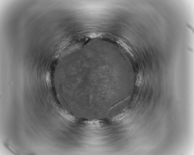 X0000093750524200710301127