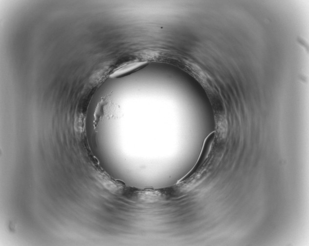 X0000093750525200710301127