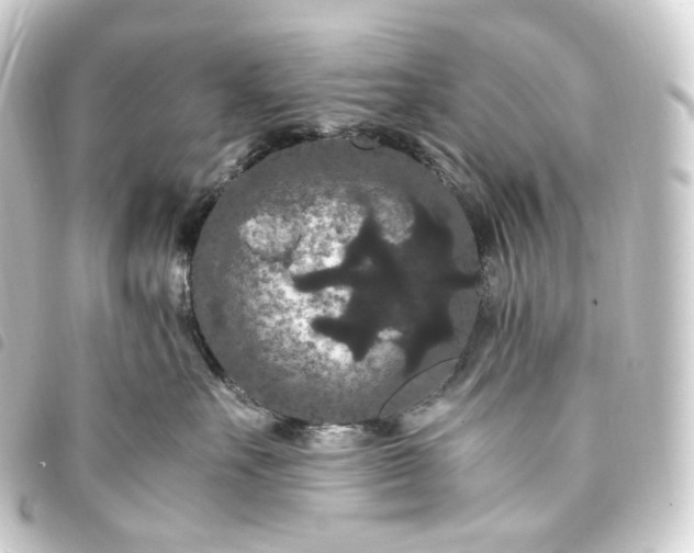 X0000093750527200710301127