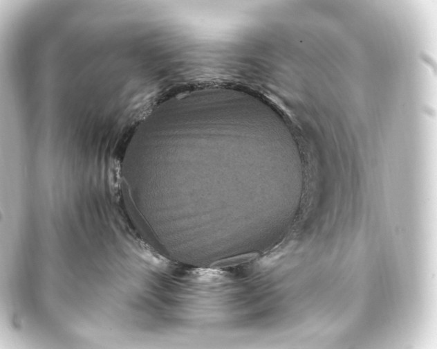 X0000093750528200710301127