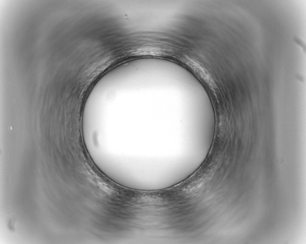 X0000093750529200710301126