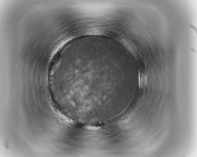 X0000093750531200710301126
