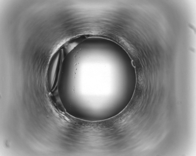 X0000093750532200710301126