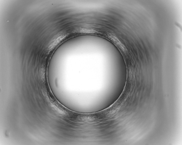 X0000093750533200710301126