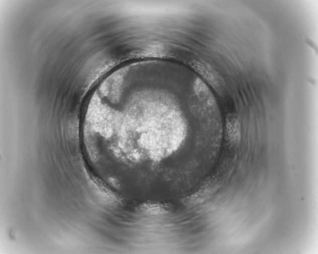 X0000093750534200710301126