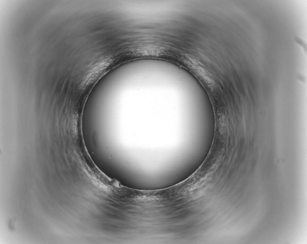 X0000093750537200710301126