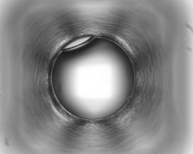 X0000093750538200710301126