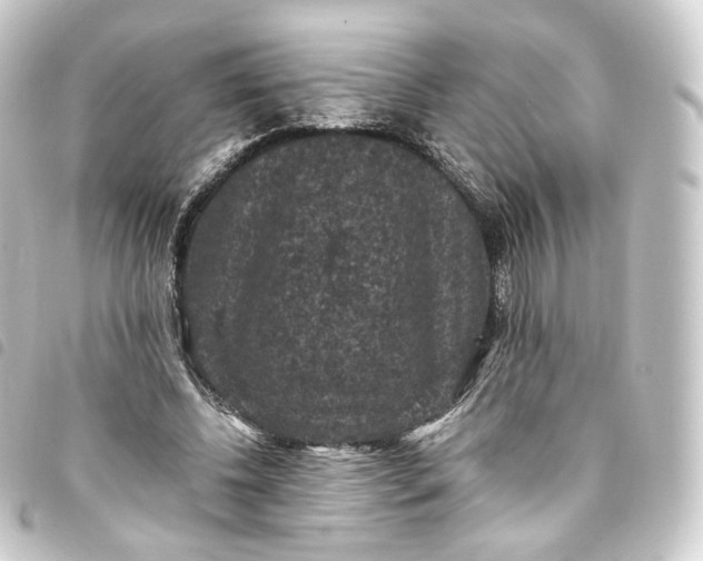 X0000093750540200710301126