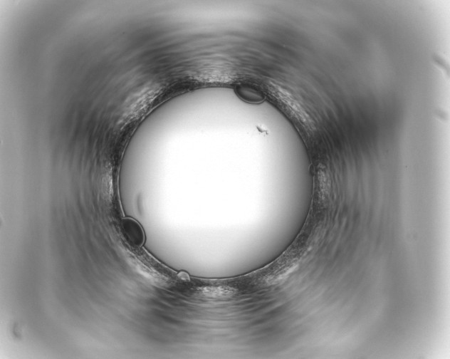X0000093750541200710301126