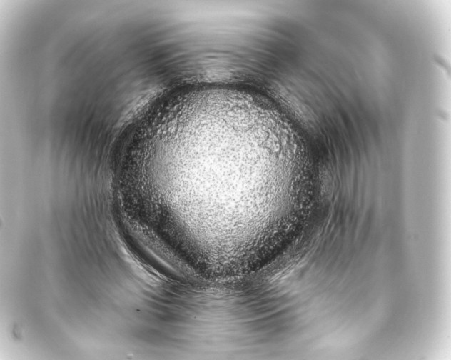 X0000093750542200710301126