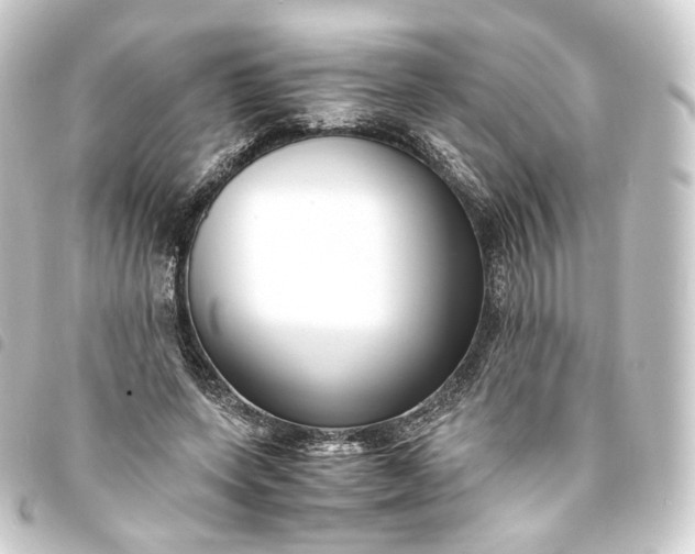 X0000093750543200710301126