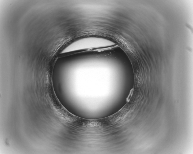 X0000093750546200710301126
