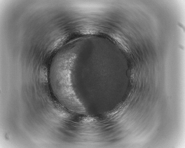 X0000093750547200710301126