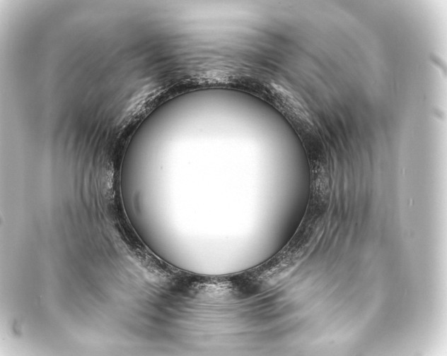 X0000093750548200710301126