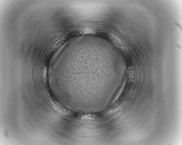 X0000093750550200710301126