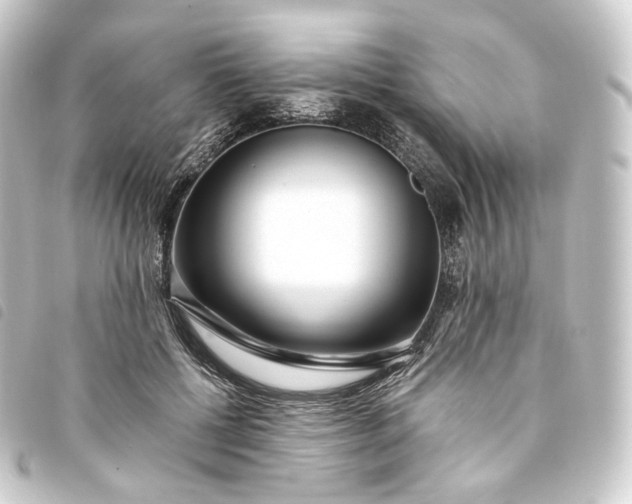 X0000093750552200710301126