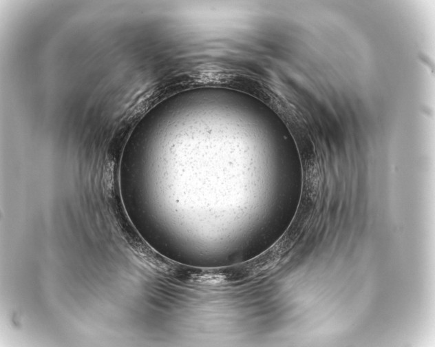 X0000093750554200710301126