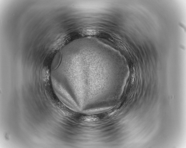 X0000093750555200710301127