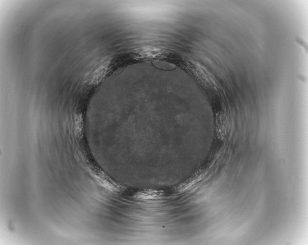 X0000093750563200710301127
