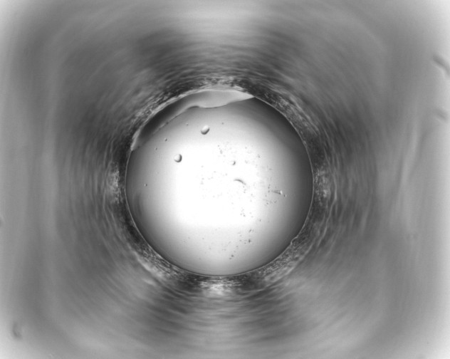 X0000093750564200710301127