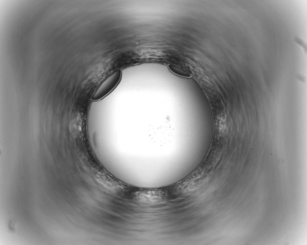 X0000093750567200710301127