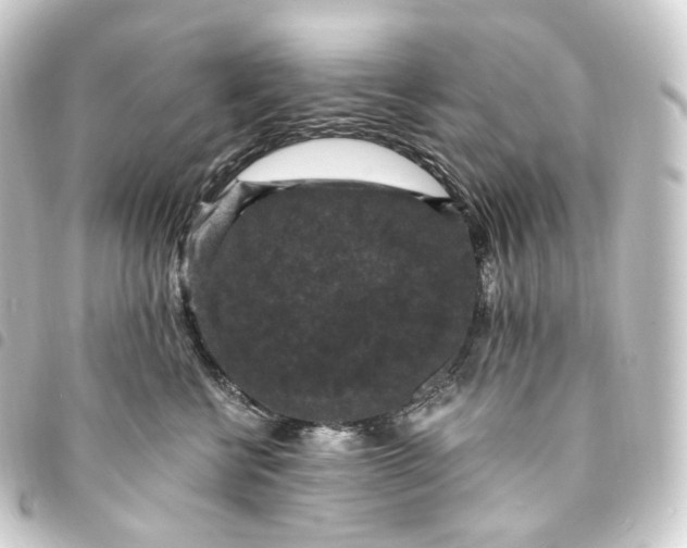 X0000093750570200710301127