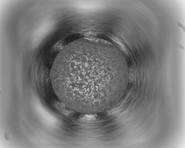 X0000093750573200710301127