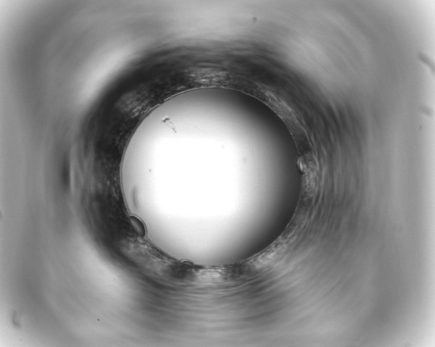 X0000093750574200710301127