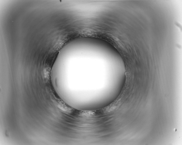 X0000093750576200710301127