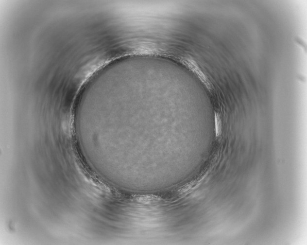 X0000093750579200710301126