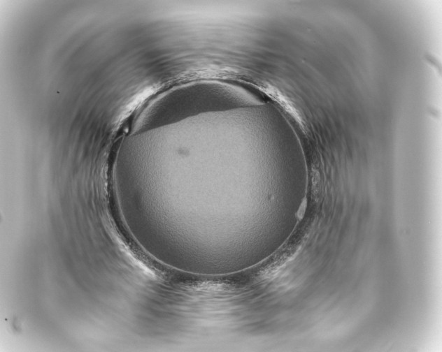 X0000093750581200710301126