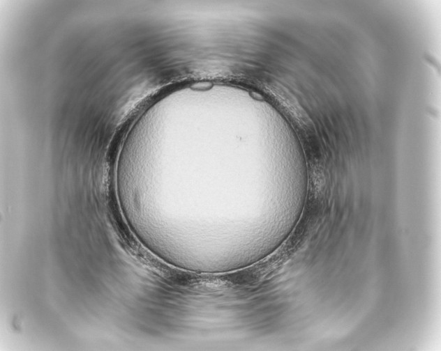 X0000093750583200710301126