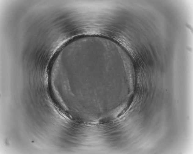 X0000093750584200710301126