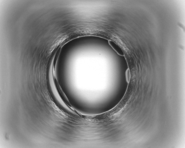 X0000093750585200710301126