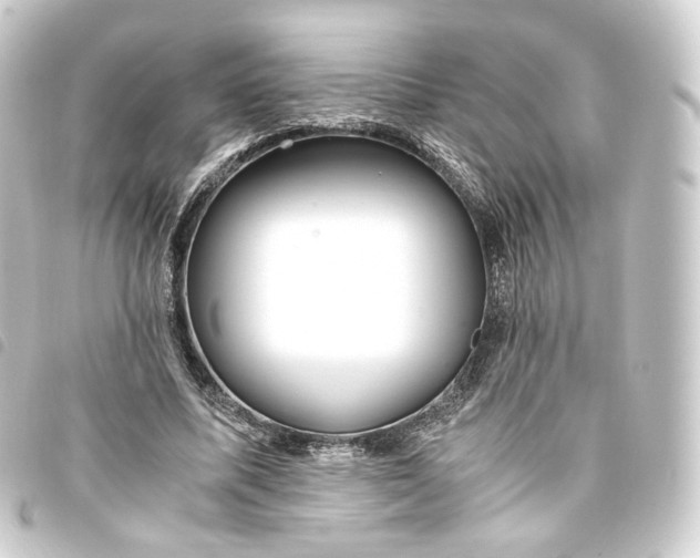 X0000093750587200710301126