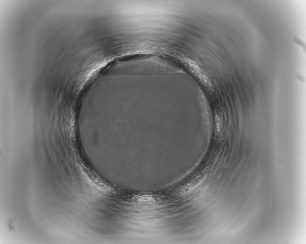 X0000093750588200710301126