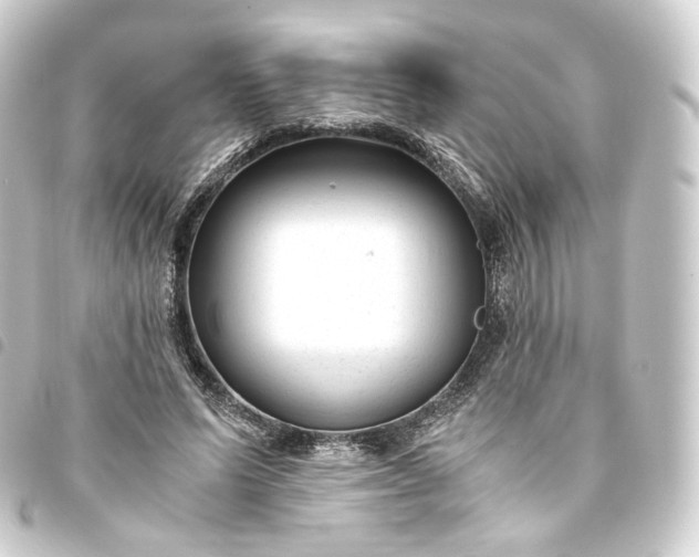 X0000093750591200710301126